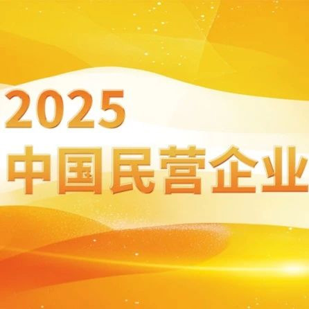 楚江新材入选2025中国民营企业500强，位列第226位！